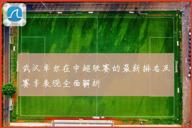 武汉卓尔在中超联赛的最新排名及赛季表现全面解析