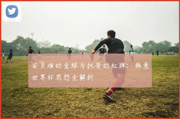 安贞焕的金球与托蒂的红牌：韩意世界杯恩怨全解析