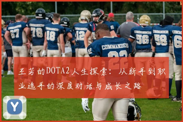 王芳的DOTA2人生探索：从新手到职业选手的深度对话与成长之路