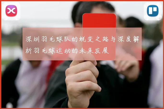 深圳羽毛球队的蜕变之路与深度解析羽毛球运动的未来发展